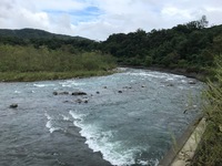 秩父フライフィールド 釣果