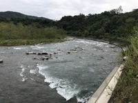 秩父フライフィールド 釣果