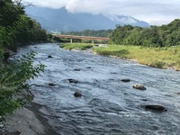 秩父フライフィールド 釣果