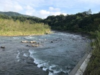 秩父フライフィールド 釣果