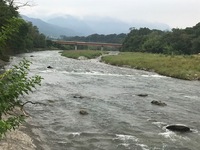 秩父フライフィールド 釣果