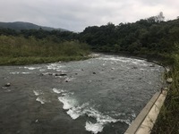 秩父フライフィールド 釣果