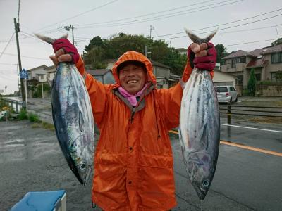 かねい丸 釣果