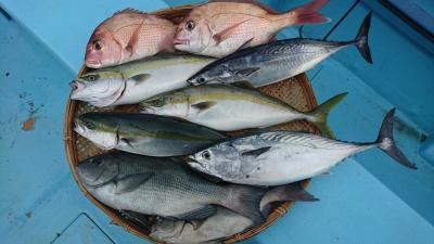 はじめ丸 釣果