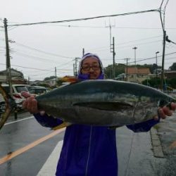 かねい丸 釣果