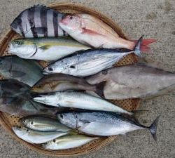 はじめ丸 釣果