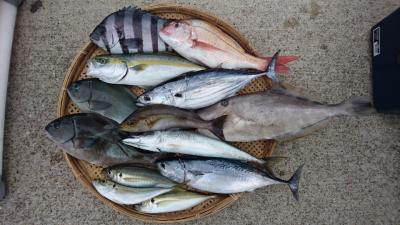 はじめ丸 釣果