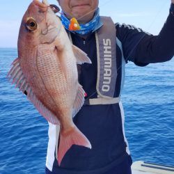 ソルトウォーターガイドフレンズ 釣果