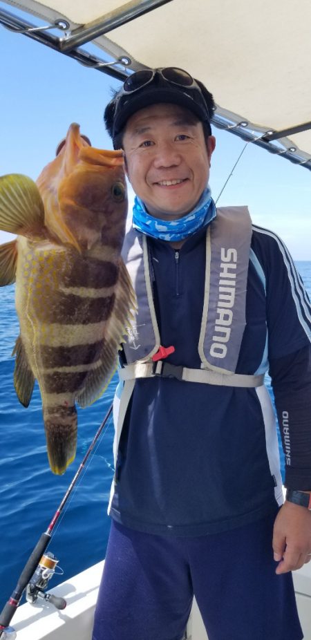 ソルトウォーターガイドフレンズ 釣果