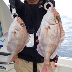 ソルトウォーターガイドフレンズ 釣果