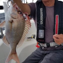 ソルトウォーターガイドフレンズ 釣果