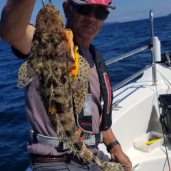 ソルトウォーターガイドフレンズ 釣果