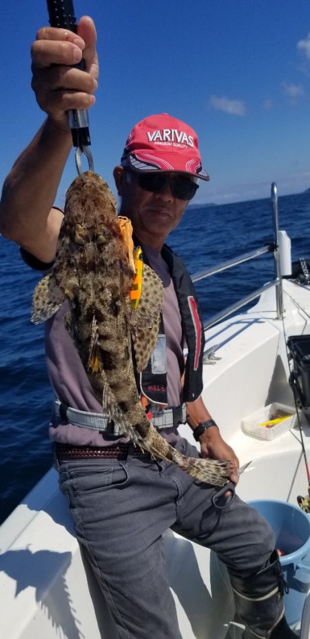 ソルトウォーターガイドフレンズ 釣果