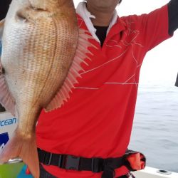 ソルトウォーターガイドフレンズ 釣果