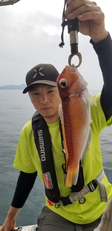 ソルトウォーターガイドフレンズ 釣果