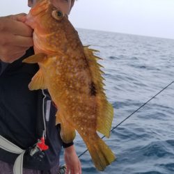 ソルトウォーターガイドフレンズ 釣果