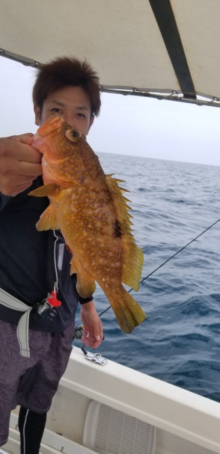 ソルトウォーターガイドフレンズ 釣果