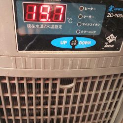 タイラバ遊漁船 ワンピース 釣果