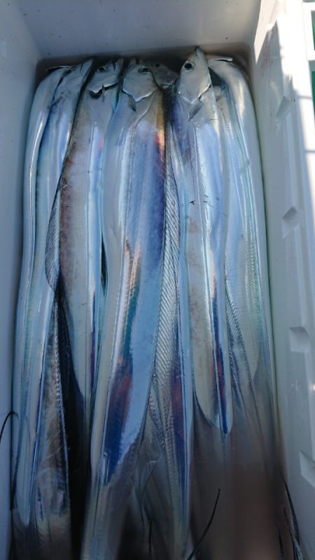 金沢八景鴨下丸 釣果