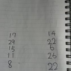 金沢八景鴨下丸 釣果