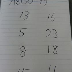 金沢八景鴨下丸 釣果