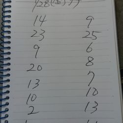 金沢八景鴨下丸 釣果