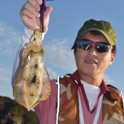渡船屋たにぐち 釣果