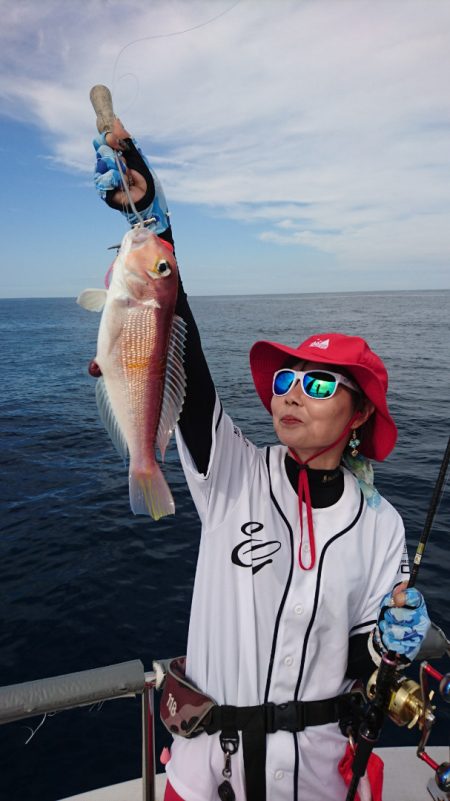 ARCADIAⅡ (アルカディアⅡ) 釣果