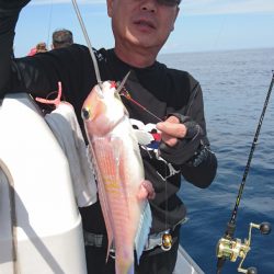 ARCADIAⅡ (アルカディアⅡ) 釣果