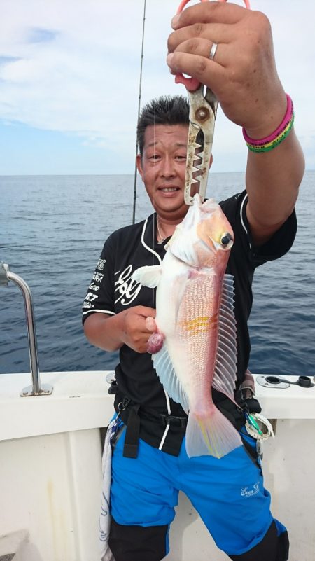 ARCADIAⅡ (アルカディアⅡ) 釣果