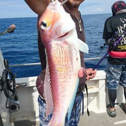 ARCADIAⅡ (アルカディアⅡ) 釣果