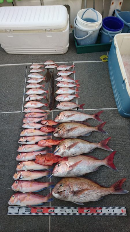 ARCADIAⅡ （アルカディアⅡ） 釣果…