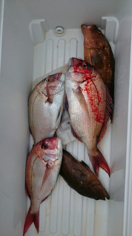 海龍丸（石川） 釣果