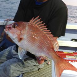 新幸丸 釣果