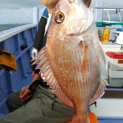 新幸丸 釣果