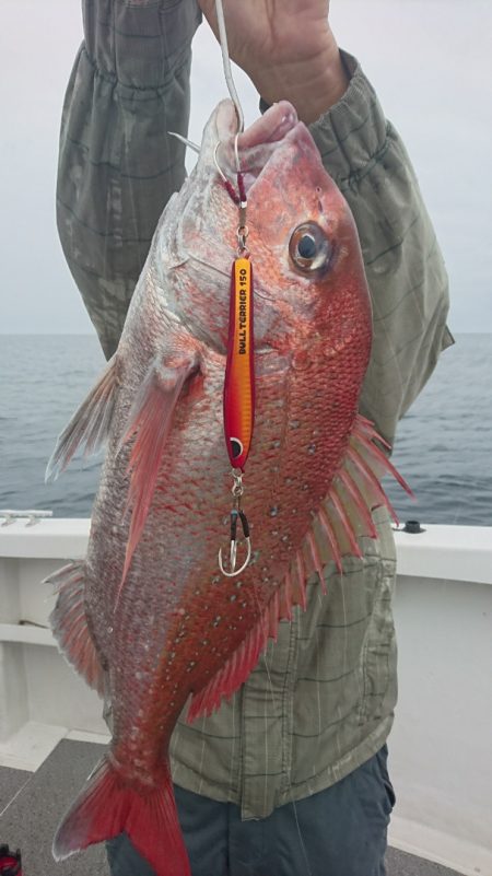 ARCADIAⅡ (アルカディアⅡ) 釣果