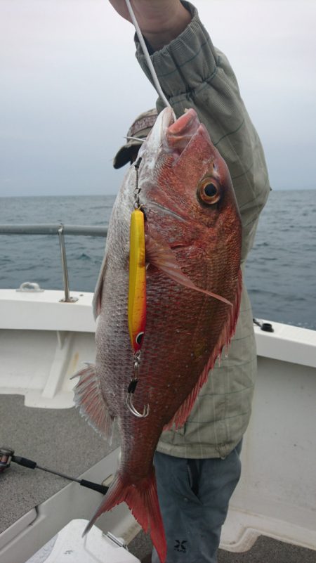 ARCADIAⅡ (アルカディアⅡ) 釣果