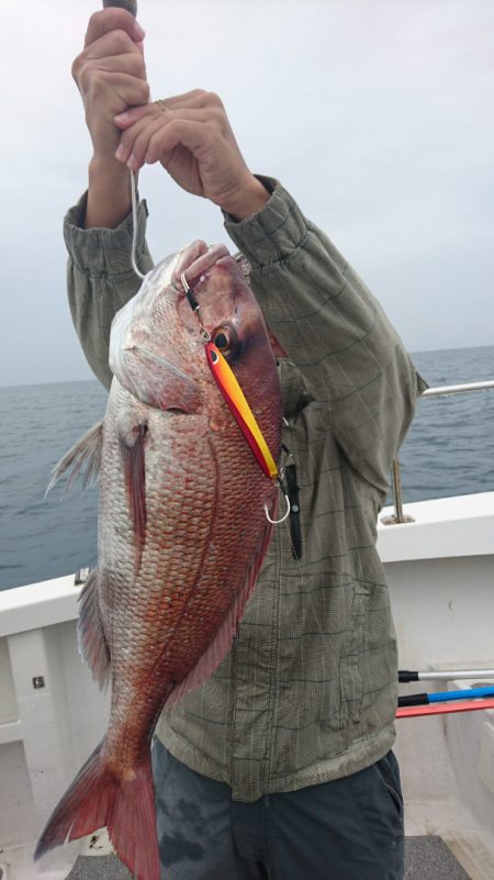 ARCADIAⅡ (アルカディアⅡ) 釣果