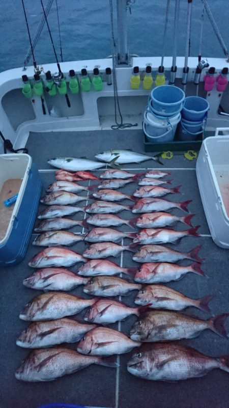 ARCADIAⅡ (アルカディアⅡ) 釣果