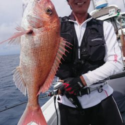 だて丸 釣果