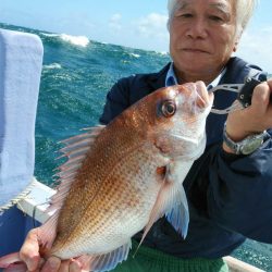 新幸丸 釣果