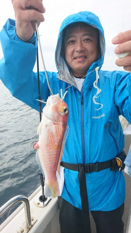 ARCADIAⅡ (アルカディアⅡ) 釣果