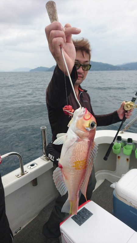 ARCADIAⅡ (アルカディアⅡ) 釣果