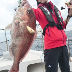 ARCADIAⅡ (アルカディアⅡ) 釣果