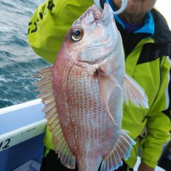 新幸丸 釣果