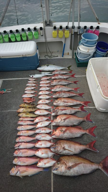 ARCADIAⅡ (アルカディアⅡ) 釣果