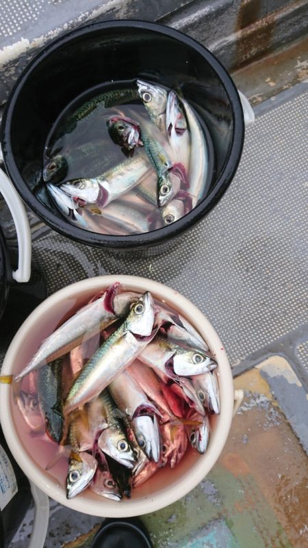 FISHING RISKY 釣果