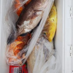 第二龍勢丸 釣果