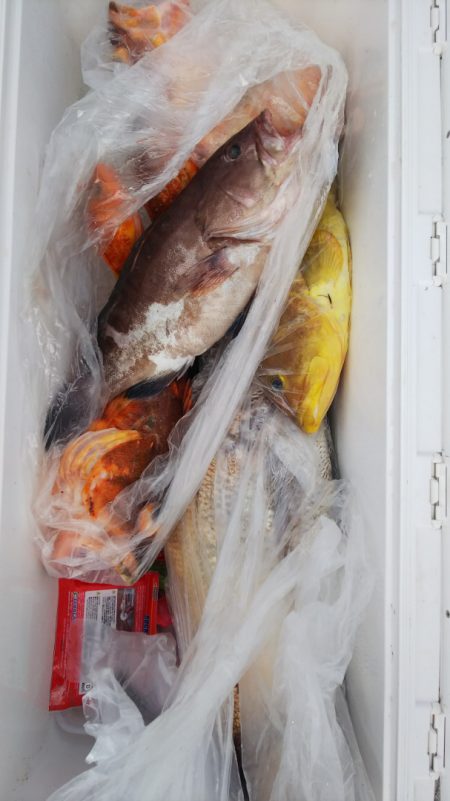 第二龍勢丸 釣果