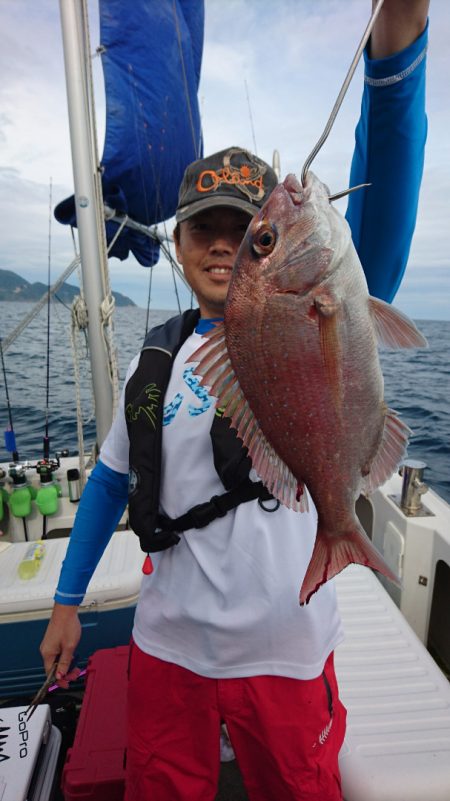 ARCADIAⅡ (アルカディアⅡ) 釣果